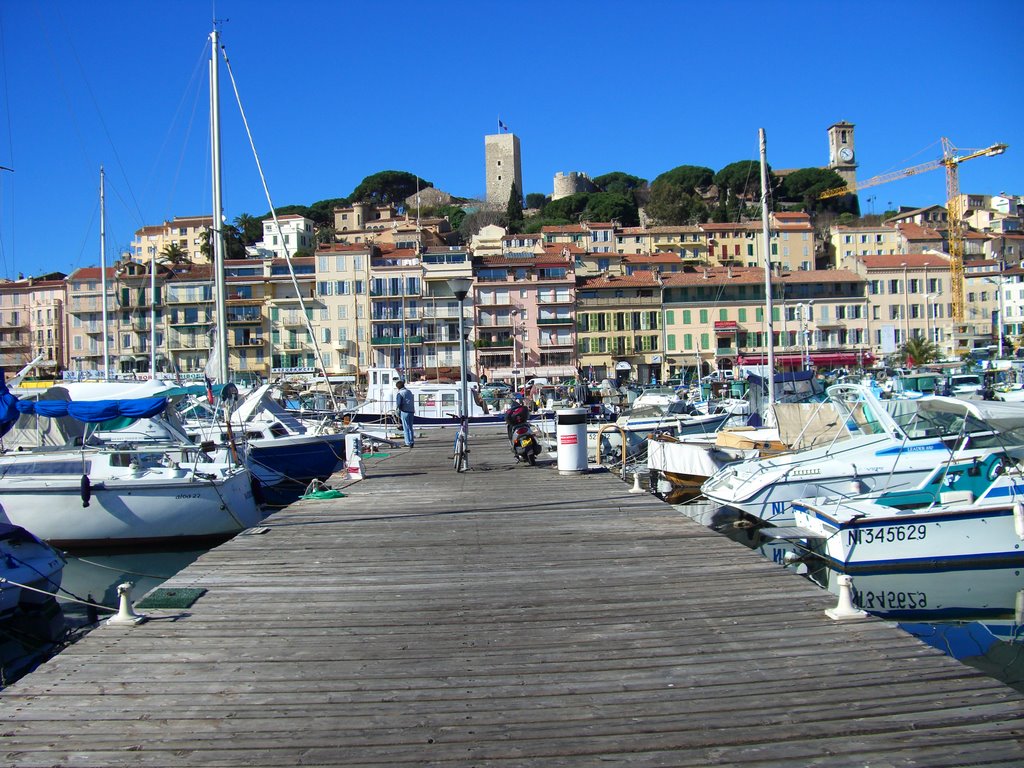 cannes photo